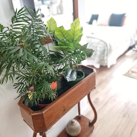 Kyra House Centro Vigo公寓 外观 照片